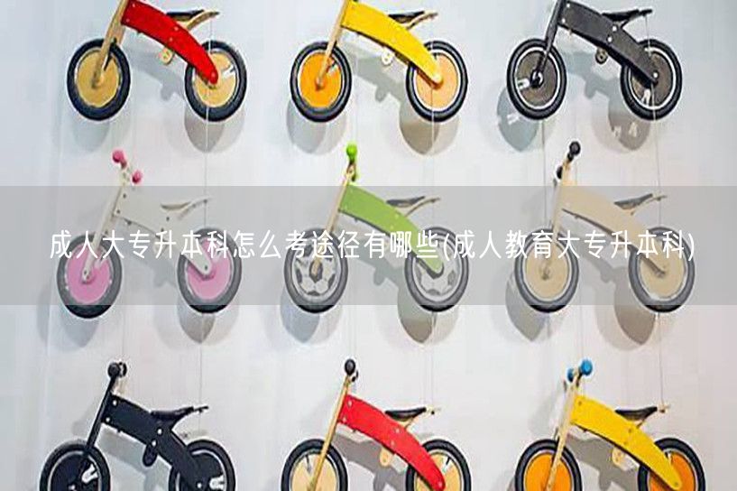 成人大专升本科怎么考途径有哪些(成人教育