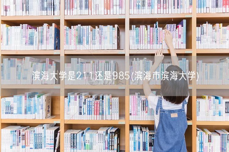 滨海大学是211还是985(滨海市滨海大