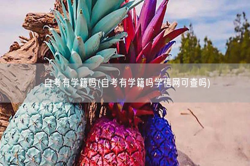 自考有学籍吗(自考有学籍吗学信网可查吗)