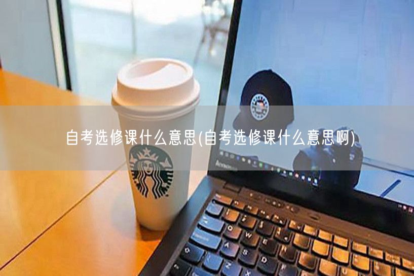 自考选修课什么意思(自考选修课什么意思啊