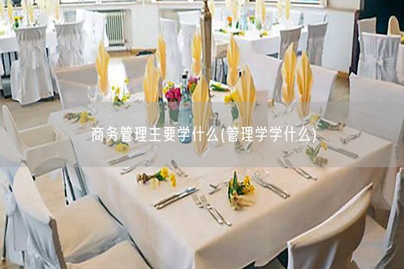 商务管理主要学什么(管理学学什么)