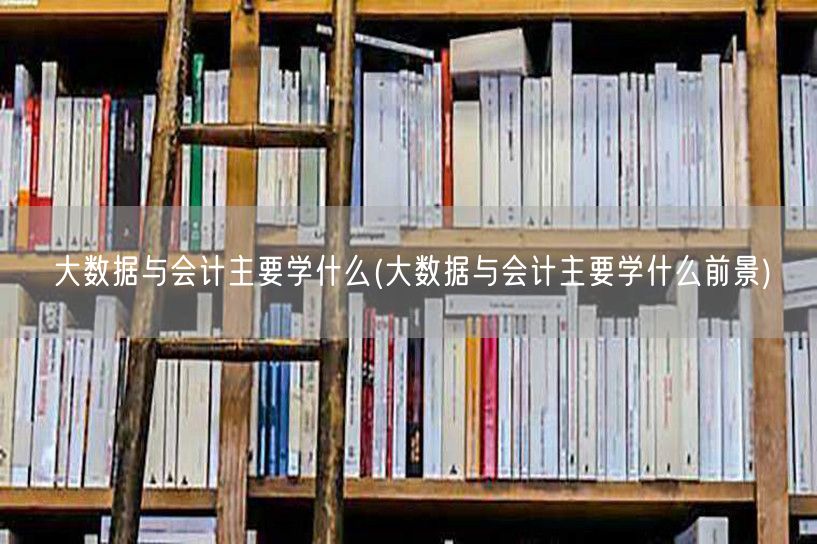 大数据与会计主要学什么(大数据与会计主要