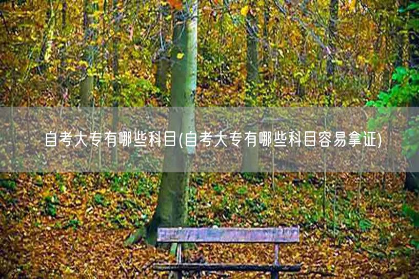 自考大专有哪些科目(自考大专有哪些科目容