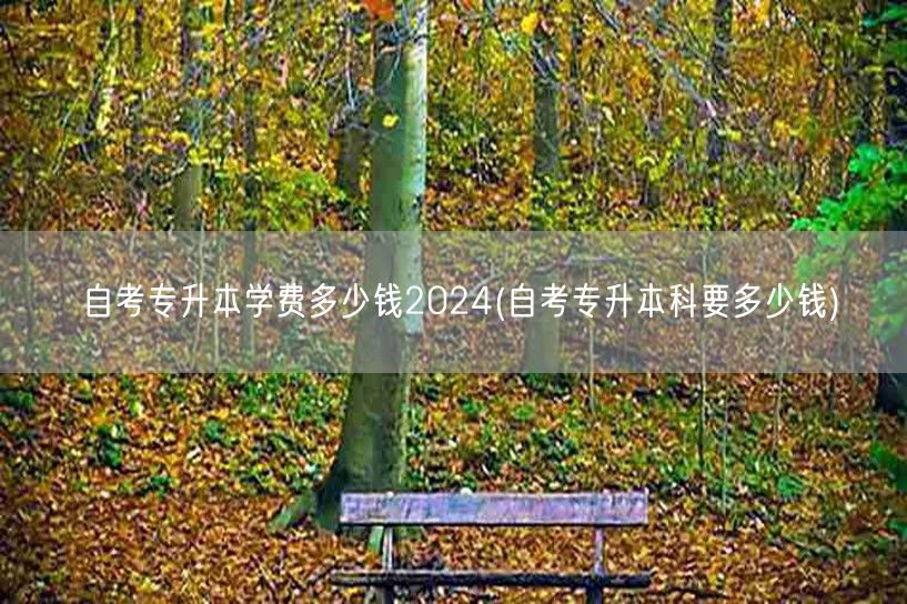 自考专升本学费多少钱2024(自考专升本