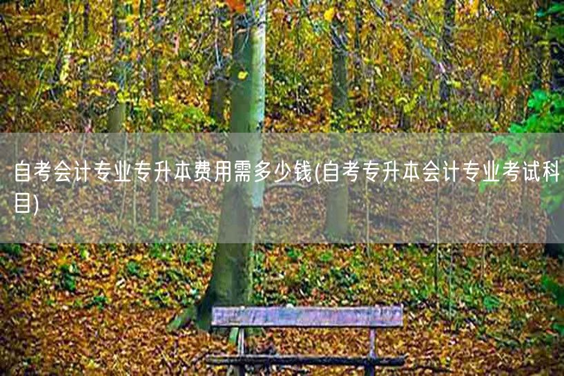 自考会计专业专升本费用需多少钱(自考专升