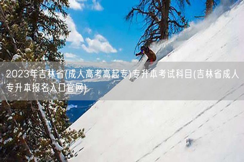2023年吉林省(成人高考高起专)专升本