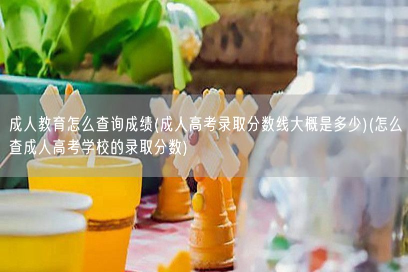 成人教育怎么查询成绩(成人高考录取分数线
