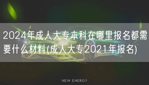 2024年成人大专本科在哪里报名都需要什