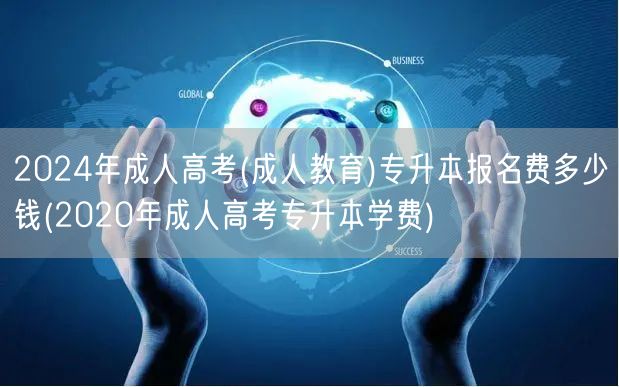2024年成人高考(成人教育)专升本报名