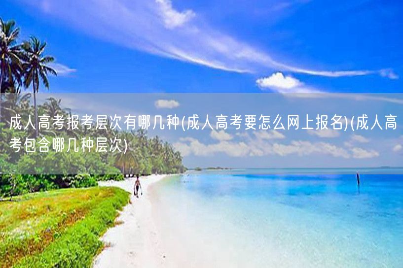 成人高考报考层次有哪几种(成人高考要怎么