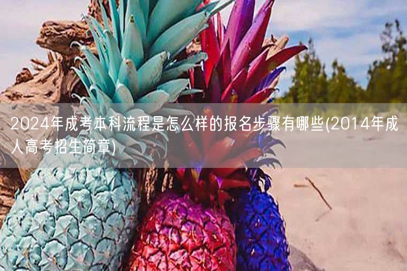 2024年成考本科流程是怎么样的报名步骤