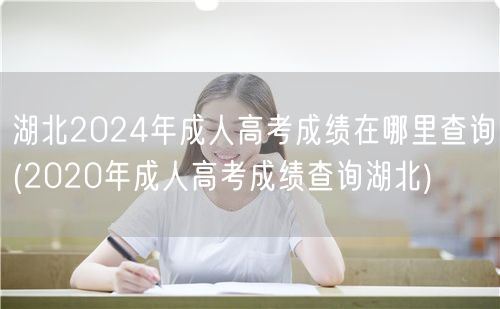 湖北2024年成人高考成绩在哪里查询(2