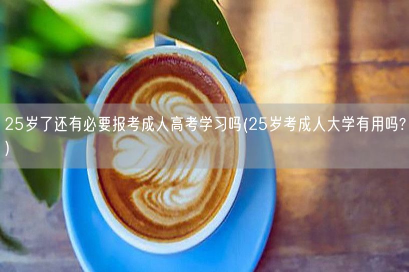 25岁了还有必要报考成人高考学习吗(25