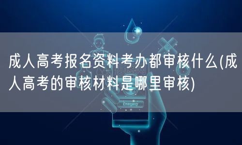 成人高考报名资料考办都审核什么(成人高考