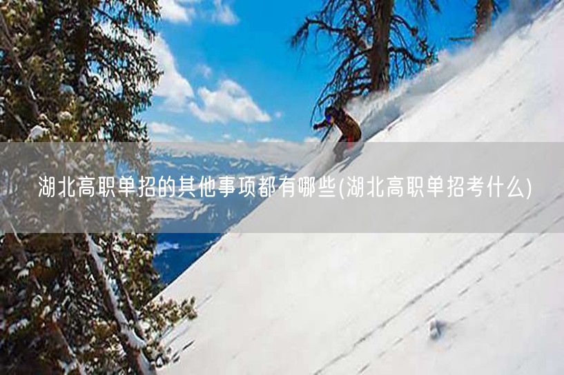 湖北高职单招的其他事项都有哪些(湖北高职