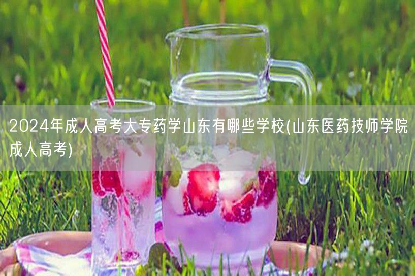 2024年成人高考大专药学山东有哪些学校