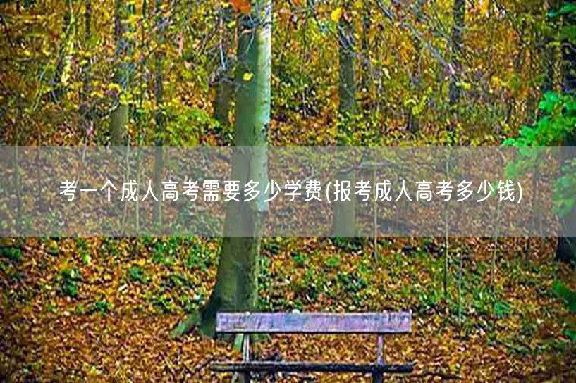 考一个成人高考需要多少学费(报考成人高考