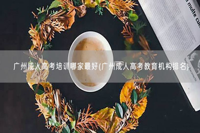 广州成人高考培训哪家最好(广州成人高考教
