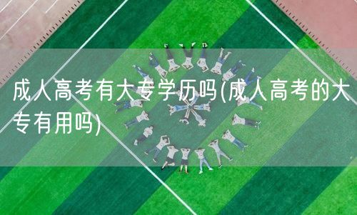 成人高考有大专学历吗(成人高考的大专有用
