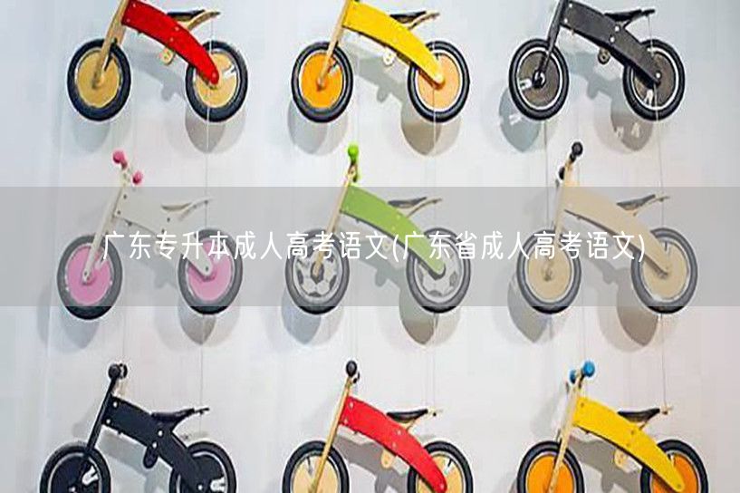 广东专升本成人高考语文(广东省成人高考语