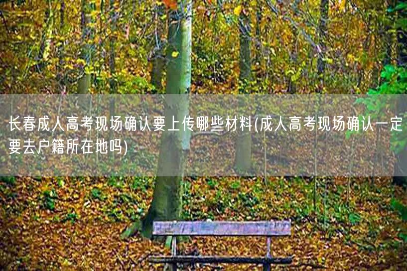 长春成人高考现场确认要上传哪些材料(成人