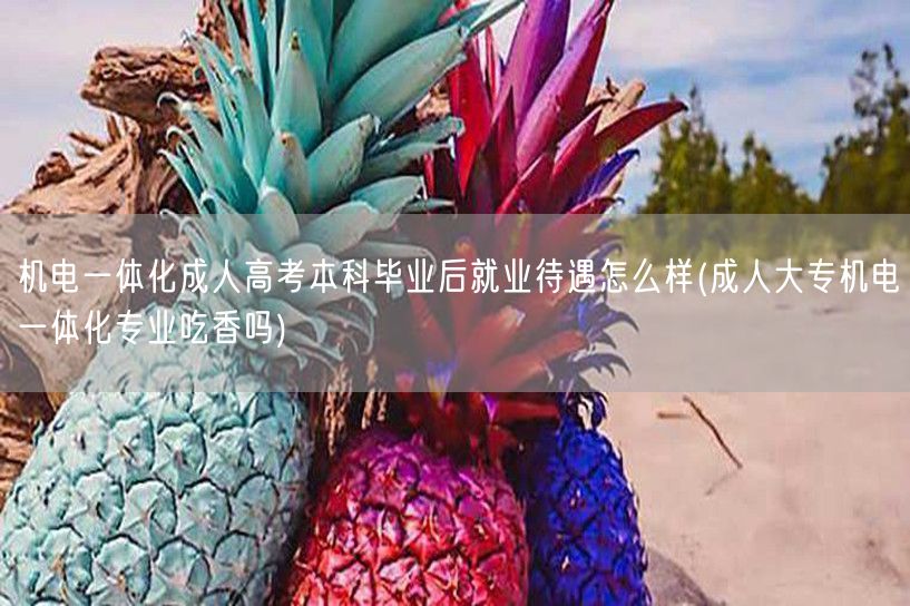 机电一体化成人高考本科毕业后就业待遇怎么