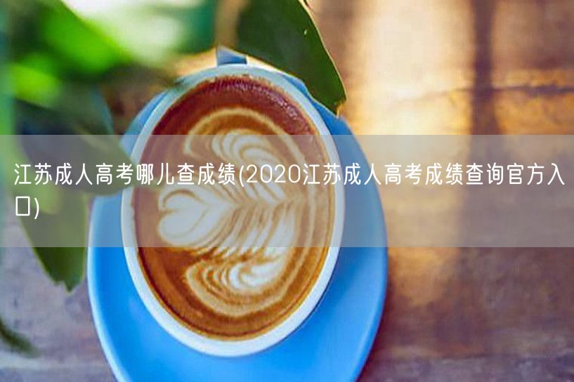 江苏成人高考哪儿查成绩(2020江苏成人