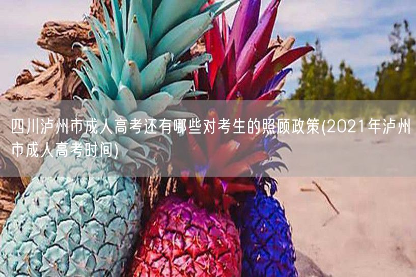 四川泸州市成人高考还有哪些对考生的照顾政