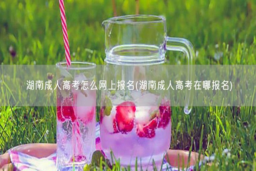 湖南成人高考怎么网上报名(湖南成人高考在