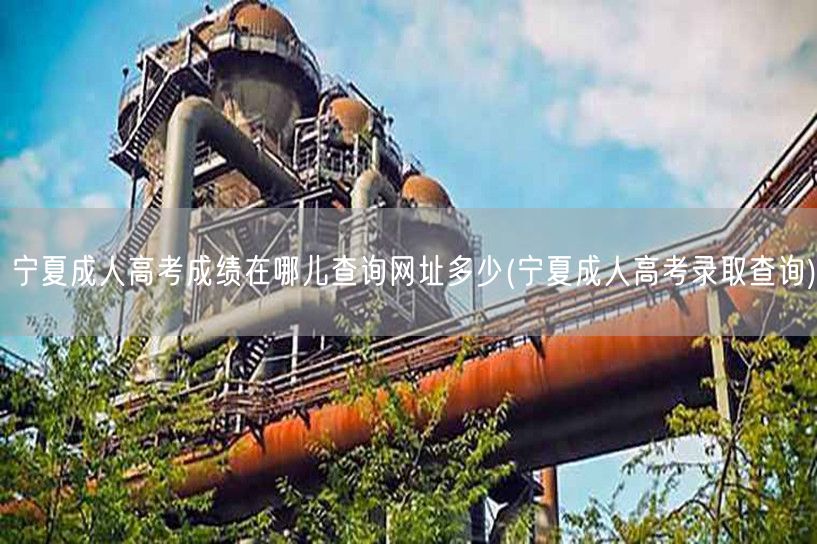 宁夏成人高考成绩在哪儿查询网址多少(宁夏