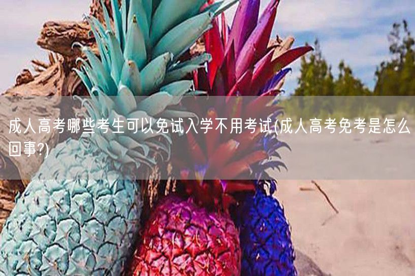 成人高考哪些考生可以免试入学不用考试(成