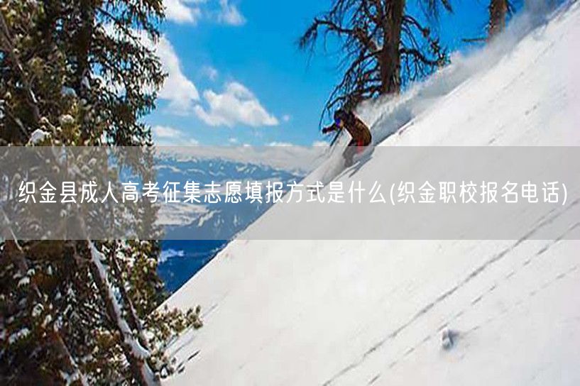 织金县成人高考征集志愿填报方式是什么(织