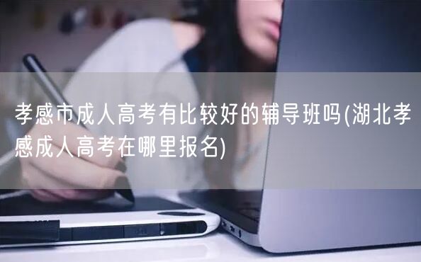 孝感市成人高考有比较好的辅导班吗(湖北孝