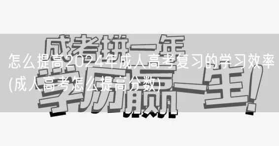 怎么提高2024年成人高考复习的学习效率