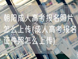 朝阳成人高考报名照片怎么上传(成人高考报