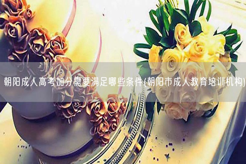 朝阳成人高考加分需要满足哪些条件(朝阳市