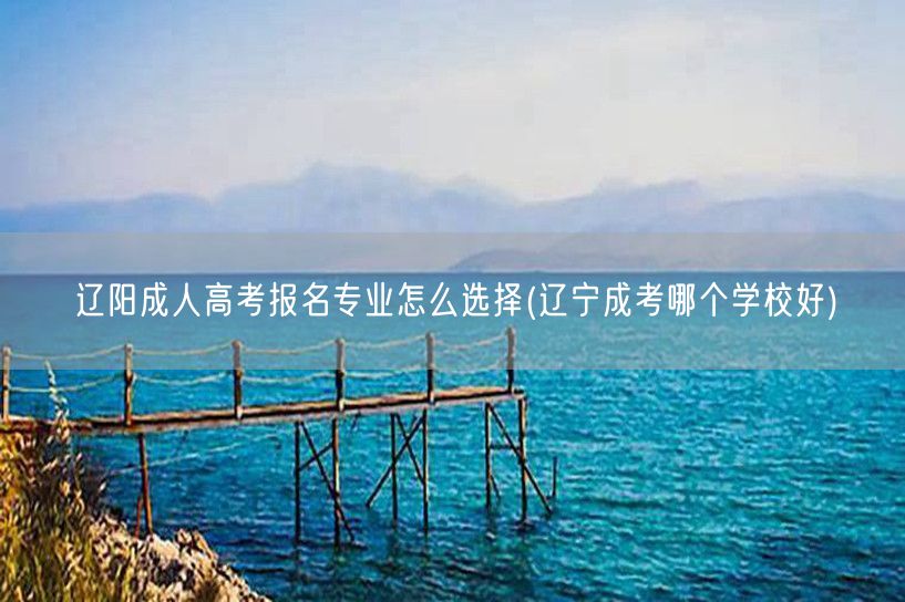 辽阳成人高考报名专业怎么选择(辽宁成考哪