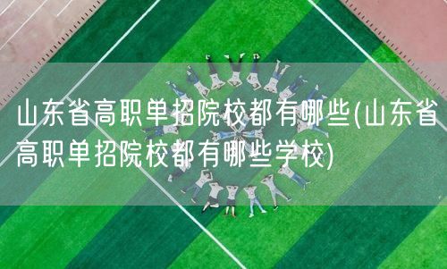 山东省高职单招院校都有哪些(山东省高职单