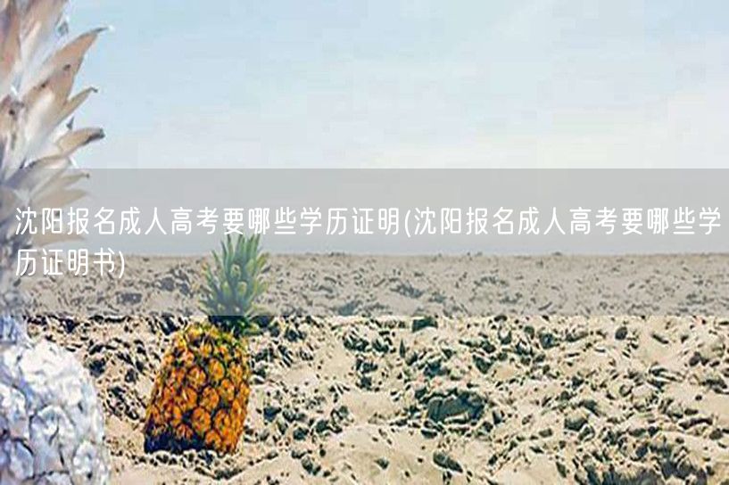 沈阳报名成人高考要哪些学历证明(沈阳报名