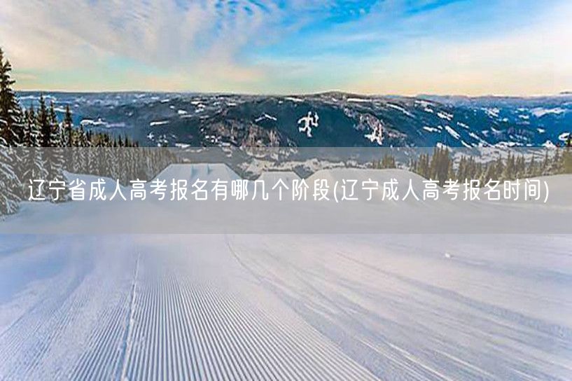 辽宁省成人高考报名有哪几个阶段(辽宁成人
