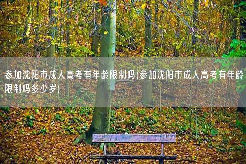 参加沈阳市成人高考有年龄限制吗(参加沈阳