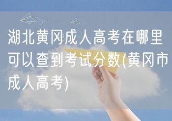 湖北黄冈成人高考在哪里可以查到考试分数(
