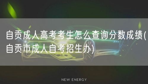 自贡成人高考考生怎么查询分数成绩(自贡市