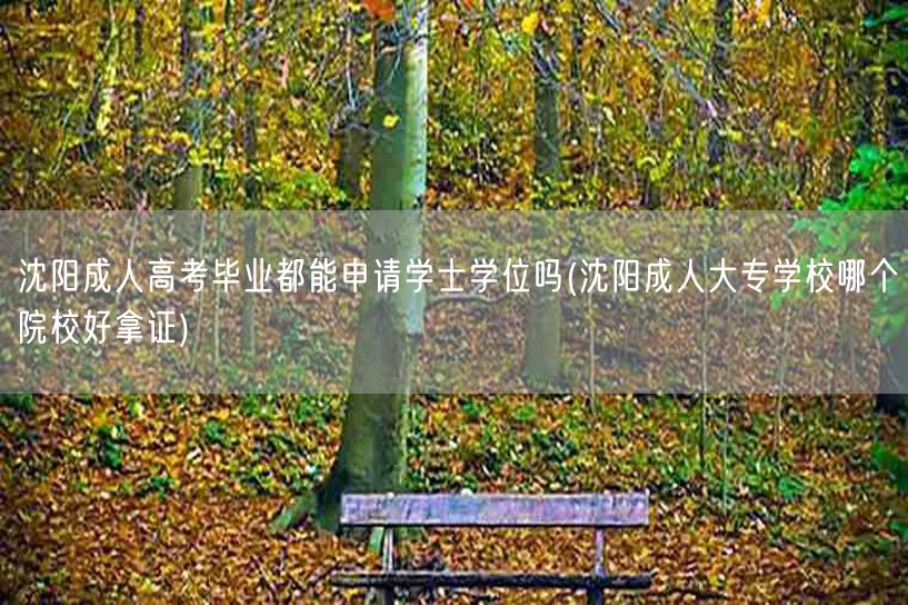 沈阳成人高考毕业都能申请学士学位吗(沈阳