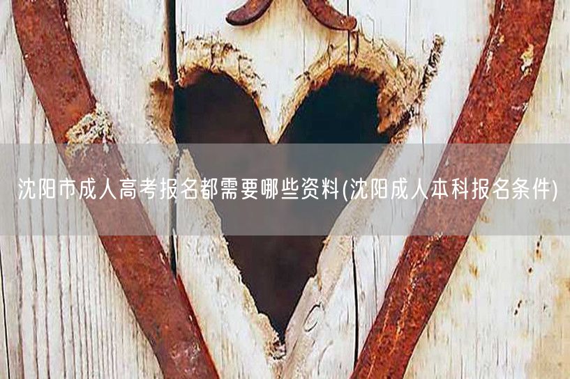 沈阳市成人高考报名都需要哪些资料(沈阳成