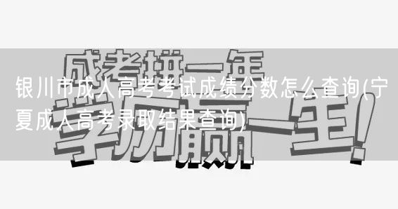 银川市成人高考考试成绩分数怎么查询(宁夏