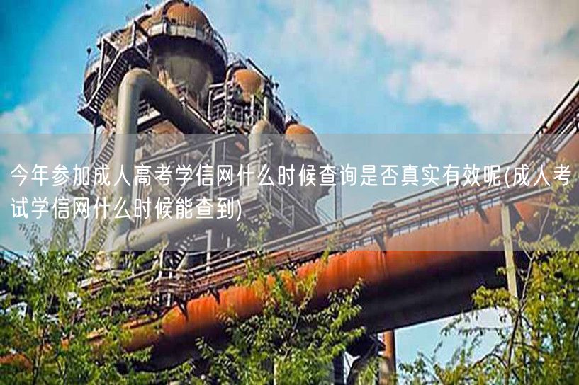 今年参加成人高考学信网什么时候查询是否真
