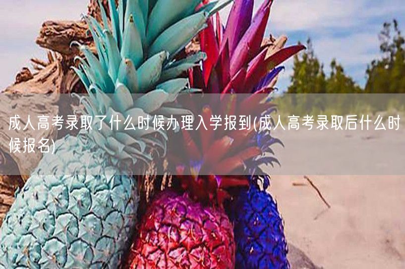 成人高考录取了什么时候办理入学报到(成人