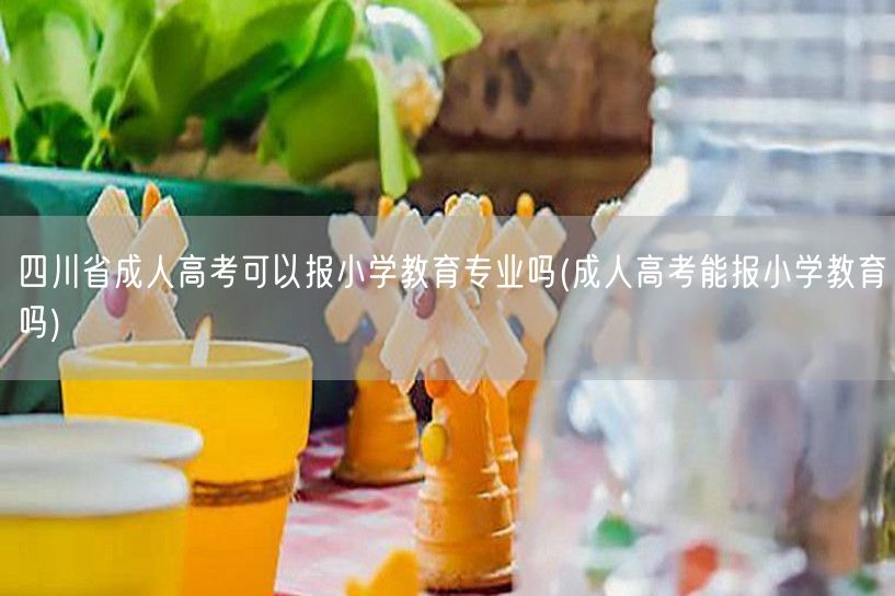 四川省成人高考可以报小学教育专业吗(成人