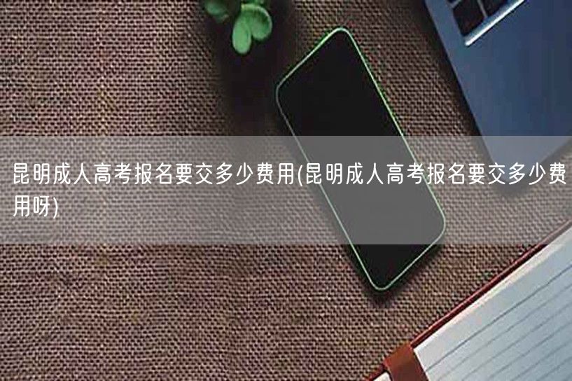 昆明成人高考报名要交多少费用(昆明成人高